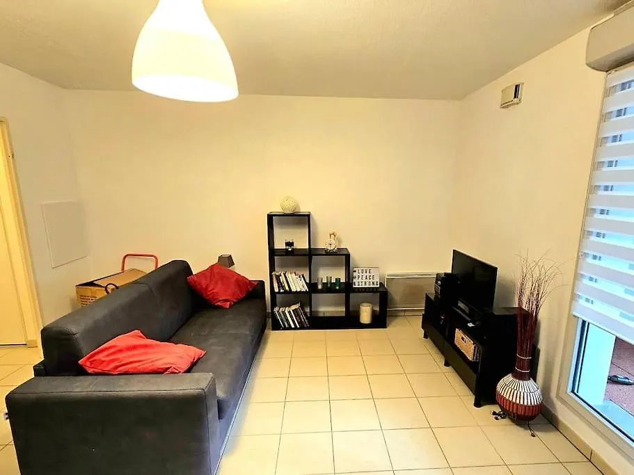 Apartment Appartment Garden Plazza Jacuzzi Prive Toulouse