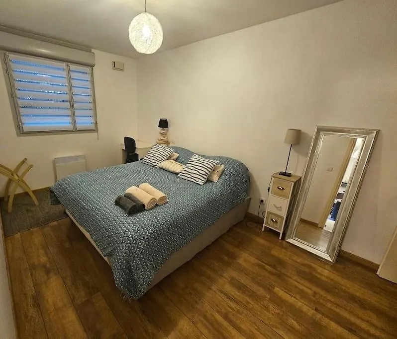 Appartment Garden Plazza Jacuzzi Prive Toulouse Apartment